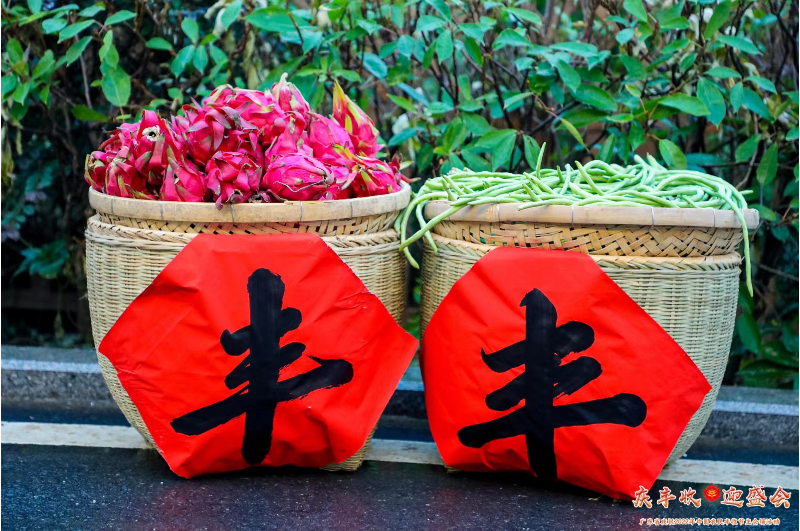 丰收节里话丰收，珠海斗门区乡村“丰”景独好，喜迎二十大，我们在此“乡”聚