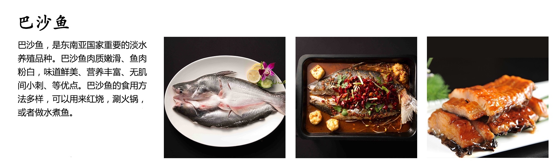 巴沙鱼.jpg
