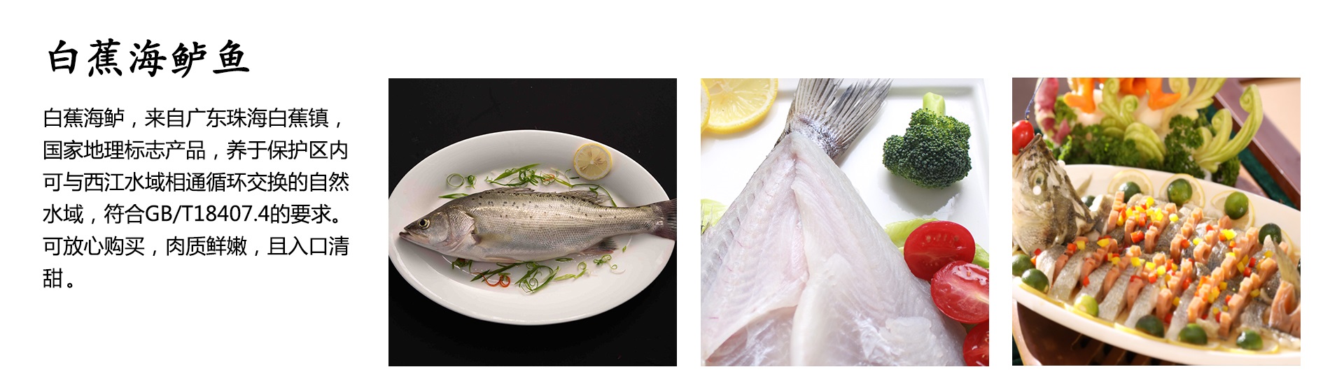 白蕉海鲈00.jpg