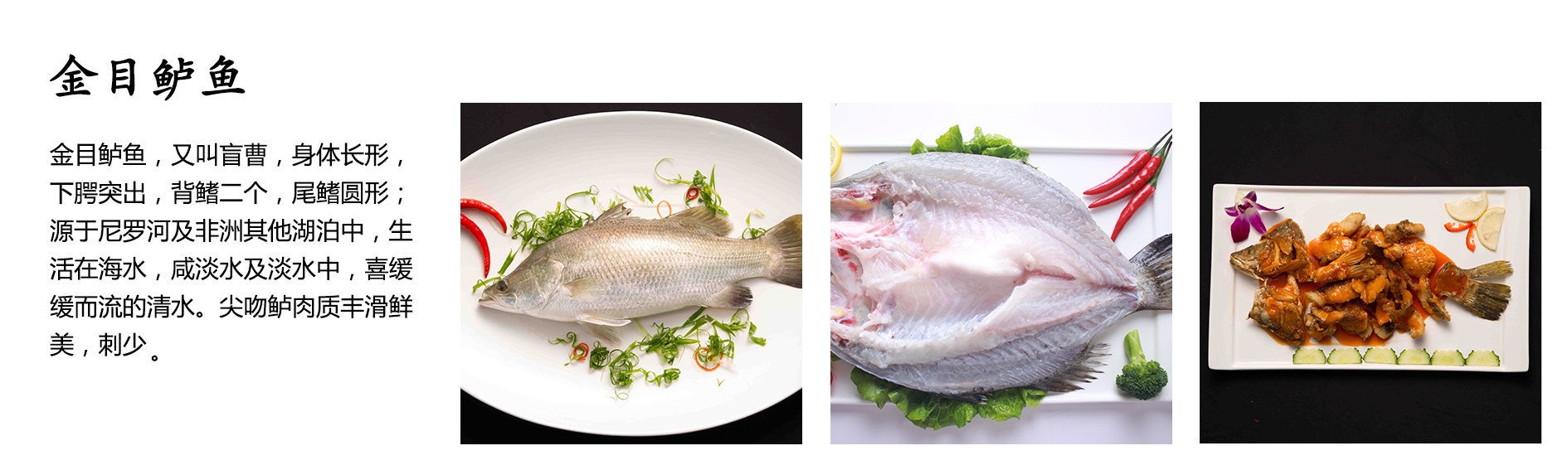 金目鲈鱼01.jpg