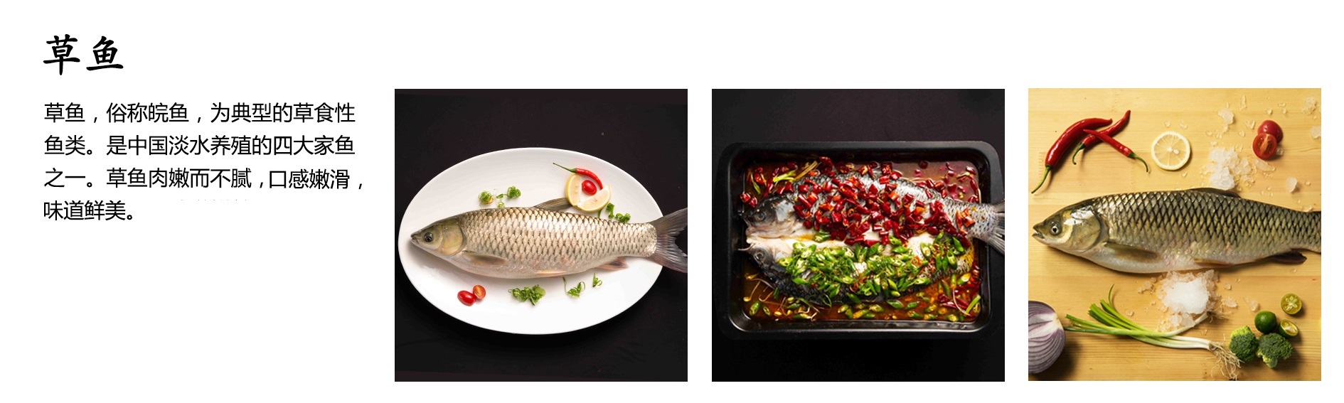 草鱼00.jpg