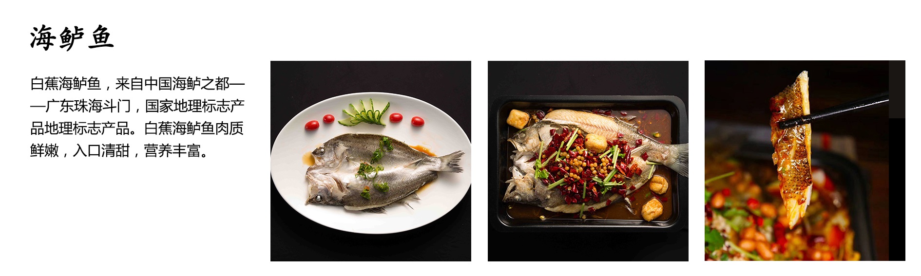 海鲈00.jpg